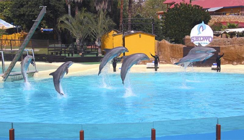 Paseo Maritimo Los Boliches. Fuengirola Eksteriør bilde